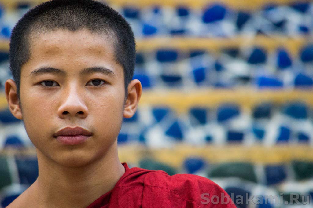 10 фактов о буддистских монахах во Вьетнаме